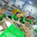 Ưu điểm dịch vụ cung ứng lao động mang lại cho doanh nghiệp