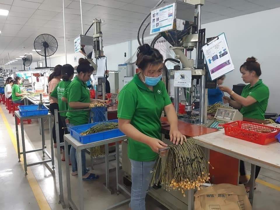cung ứng lao động tại Bình Định 3