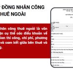 Hợp đồng nhân công thuê ngoài là gì, có quan trọng hay không?